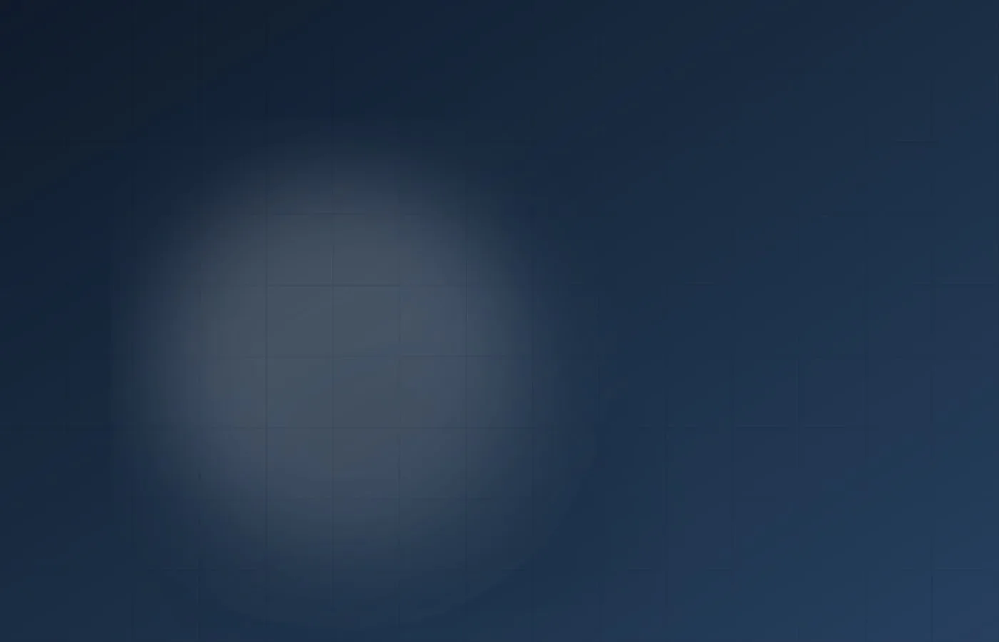 Security verification and biometric screen